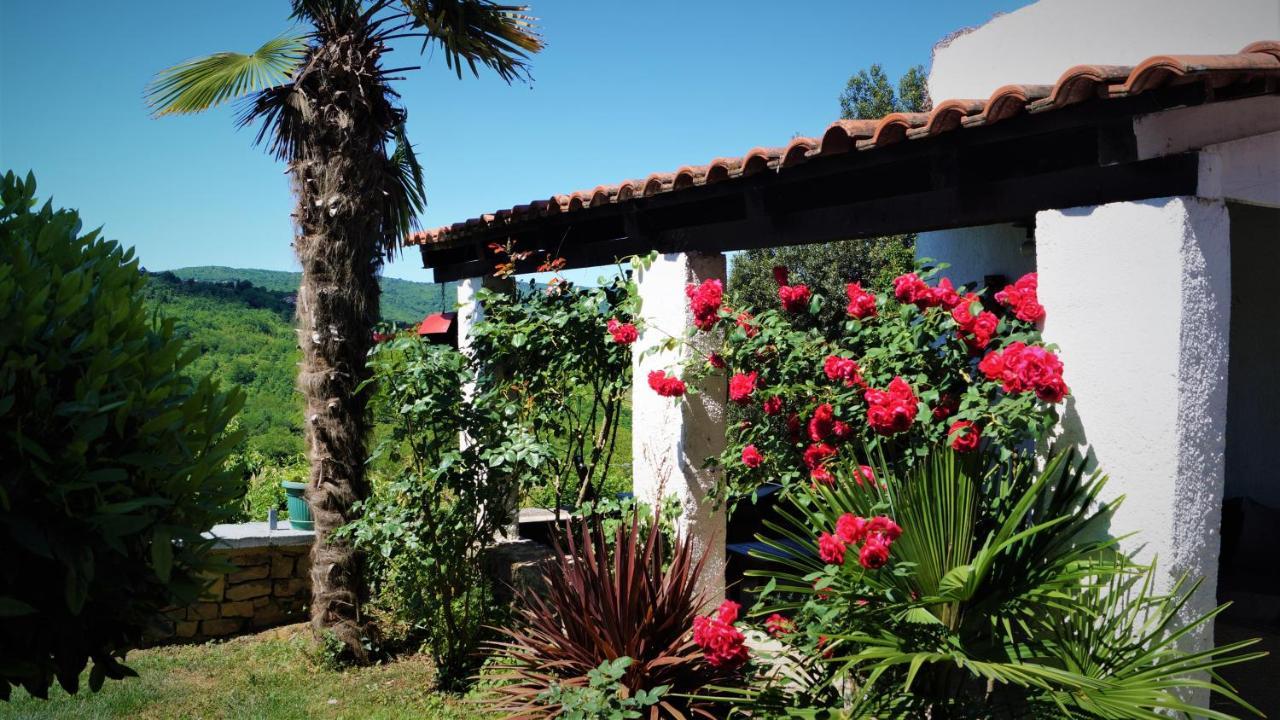 Apartments Garden Motovun Eksteriør billede