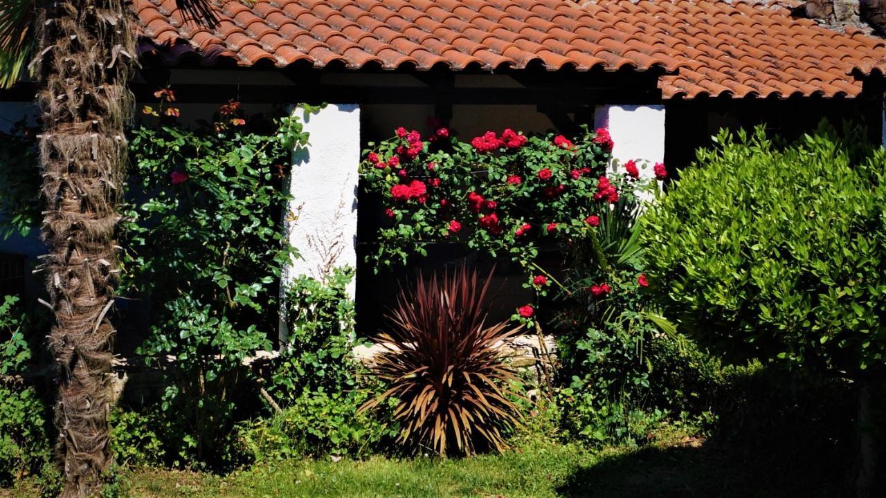Apartments Garden Motovun Eksteriør billede